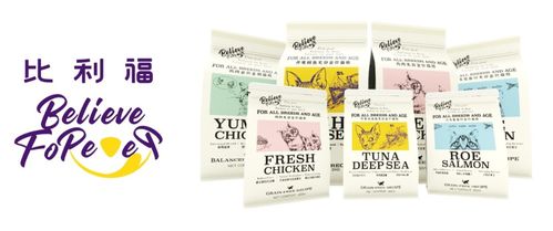 商业热点速递 雀巢官宣易烊千玺代言、美国食品科技斩获巨资，循环经济新风潮席卷全球